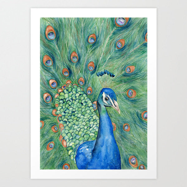 Watercolor Painting - Peacock Art - Wildlife Bird Art Print - Canvas or Paper Print Brazen Design Studio Dark Sea Green