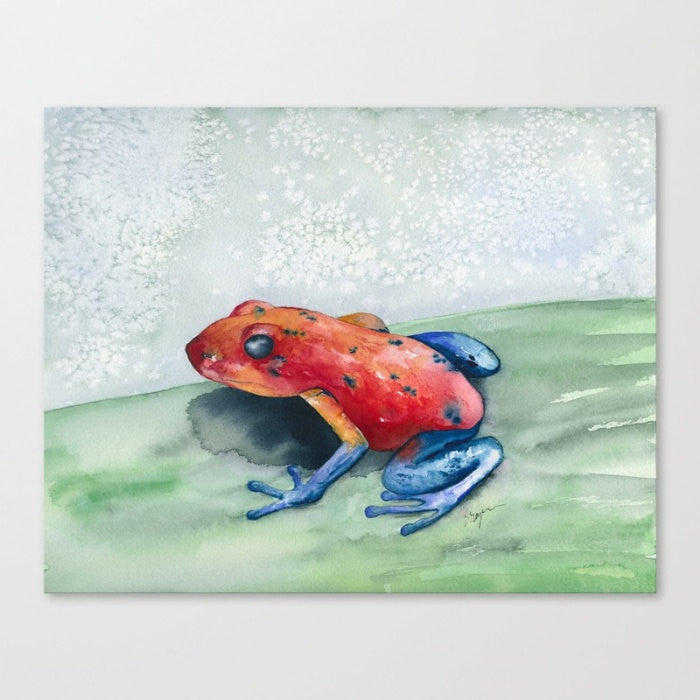 Watercolor Painting - Blue Jean Poison Dart Frog - Art Print Brazen Design Studio Salmon