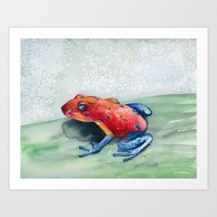 Watercolor Painting - Blue Jean Poison Dart Frog - Art Print Brazen Design Studio Firebrick