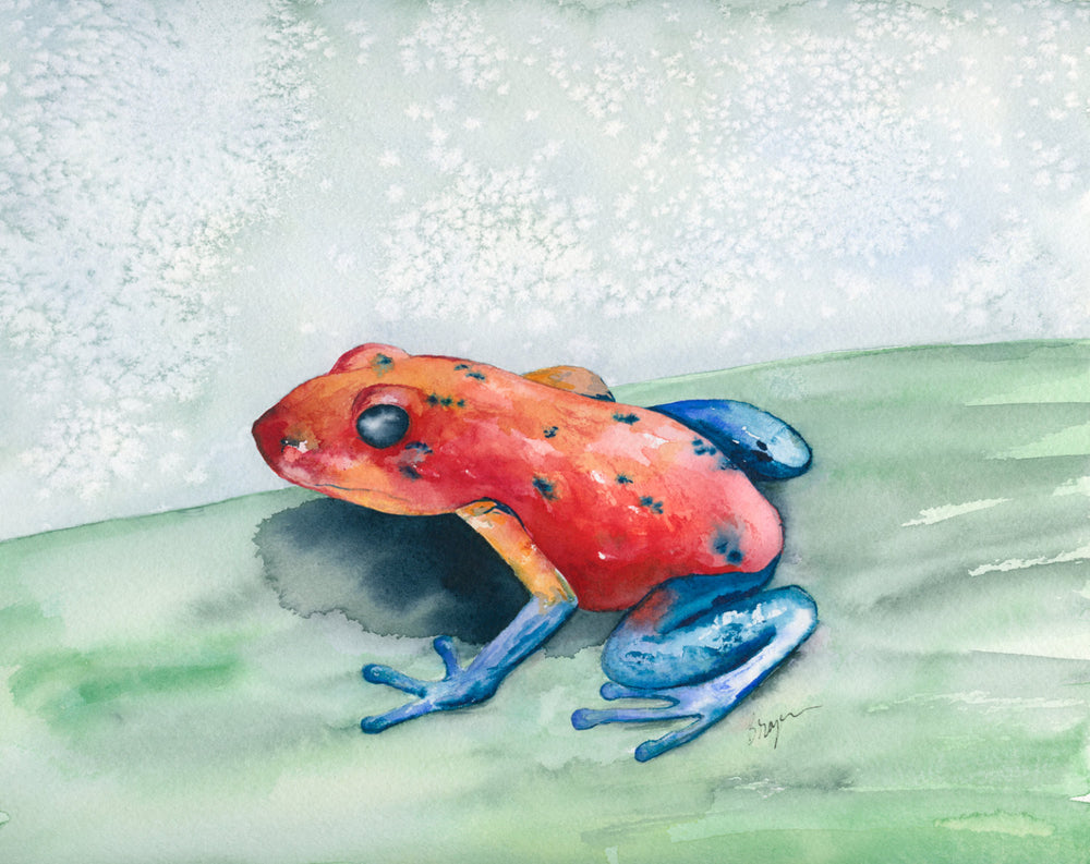 Watercolor Painting - Blue Jean Poison Dart Frog - Art Print Brazen Design Studio Salmon