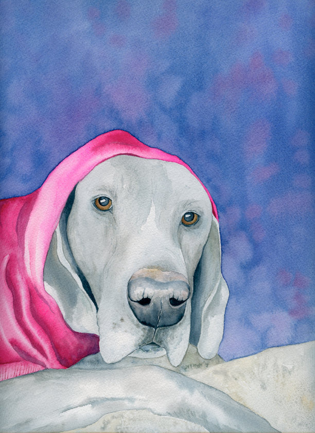 Weimaraner in a Hot Pink Hoodie Dog Print - Pet Portrait Watercolor Painting - Art Print Brazen Design Studio Steel Blue