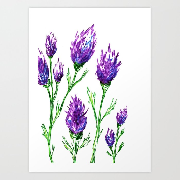 Clover Floral Watercolor Painting - Botanical Art Print Brazen Design Studio White Smoke