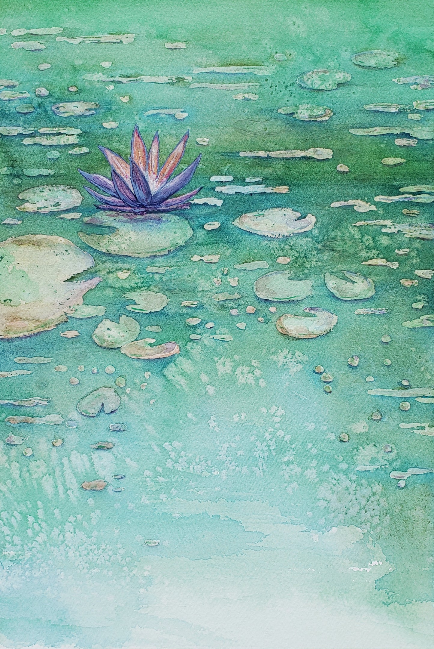 Lotus Garden - Art Print