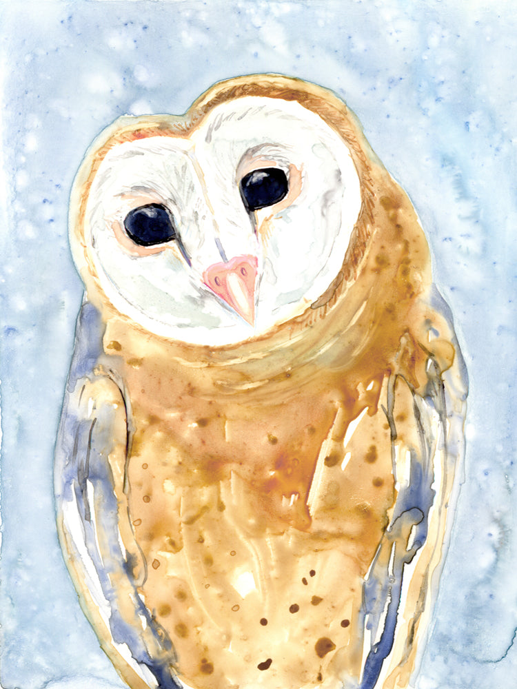 Barn Owl Watercolor Painting - Bird Wildlife Art Print Brazen Design Studio Goldenrod